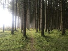 43072D51-A4C9-4B79-A6D7-682F03A0232F.jpeg