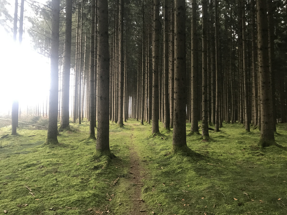 43072D51-A4C9-4B79-A6D7-682F03A0232F.jpeg