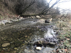D001666E-3765-417B-A098-A3714D49F1DA.jpeg