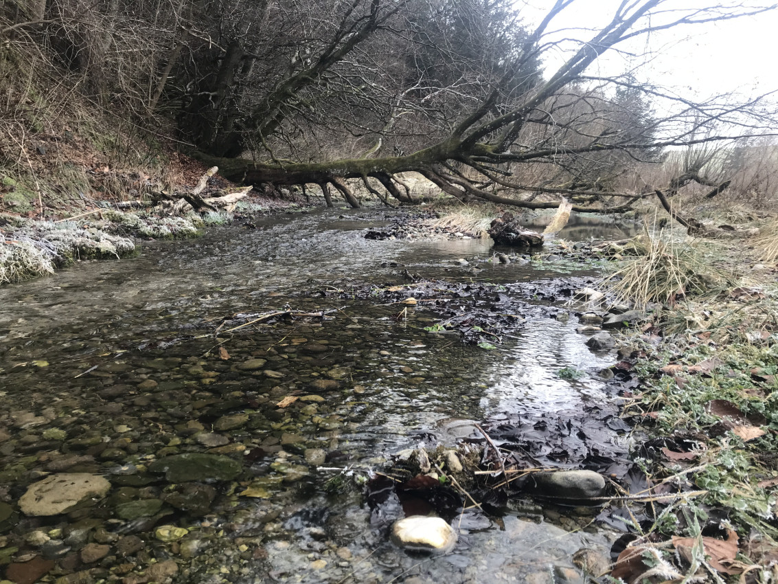 D001666E-3765-417B-A098-A3714D49F1DA.jpeg