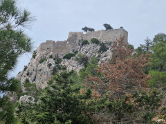 20240419_153936.jpg