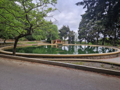 20240419_180711.jpg