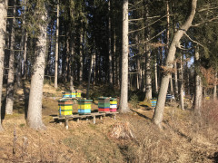 DFE0E025-66F1-4766-8087-98ED23ED03ED.jpeg