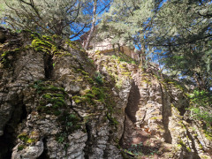 20240420_104610.jpg