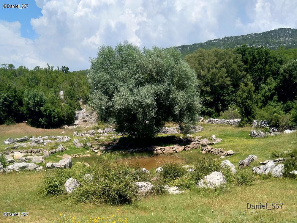 27_Rimski bunari Nisko.jpg