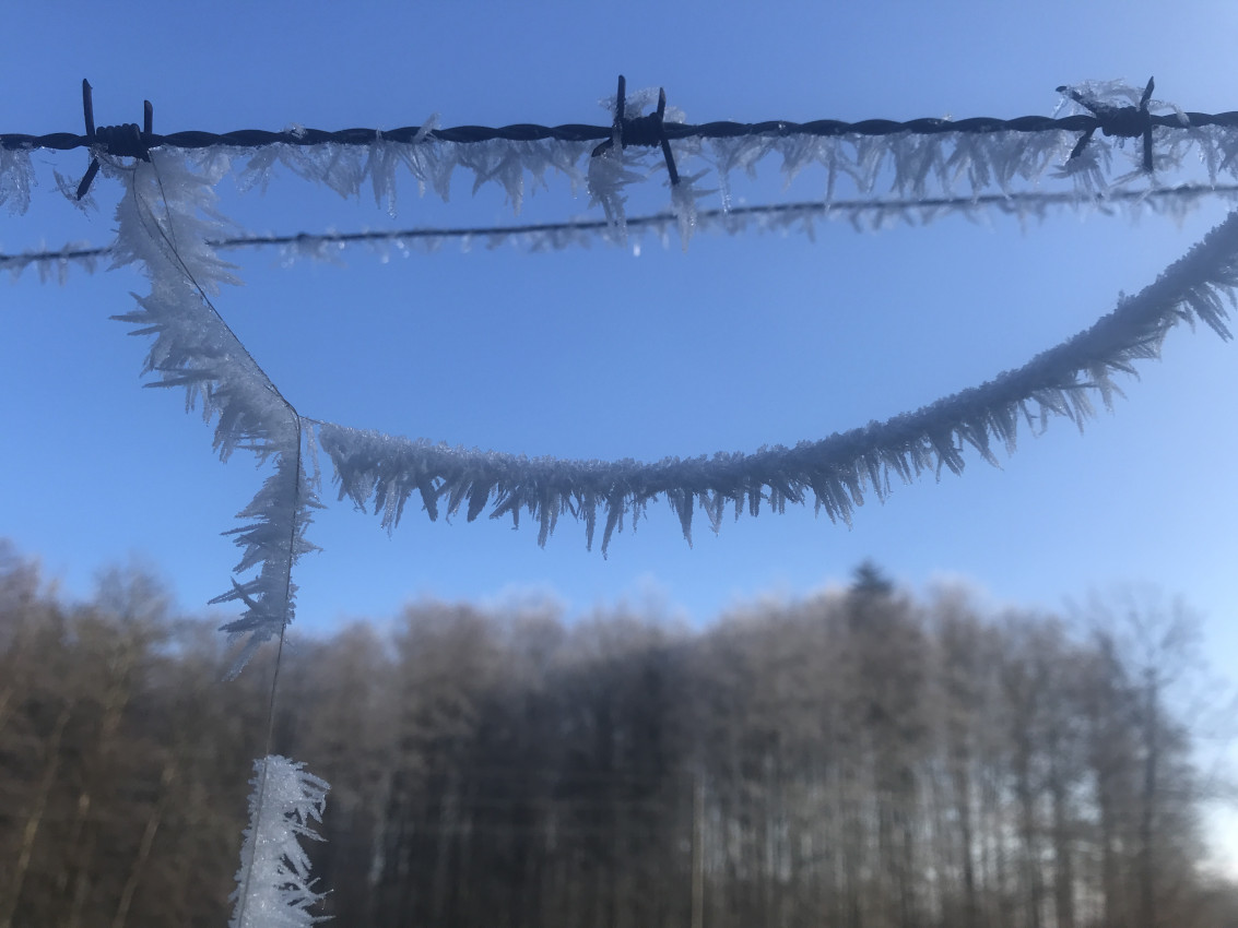 A031D3E2-DC28-4BF2-B338-5F0837CDE796.jpeg