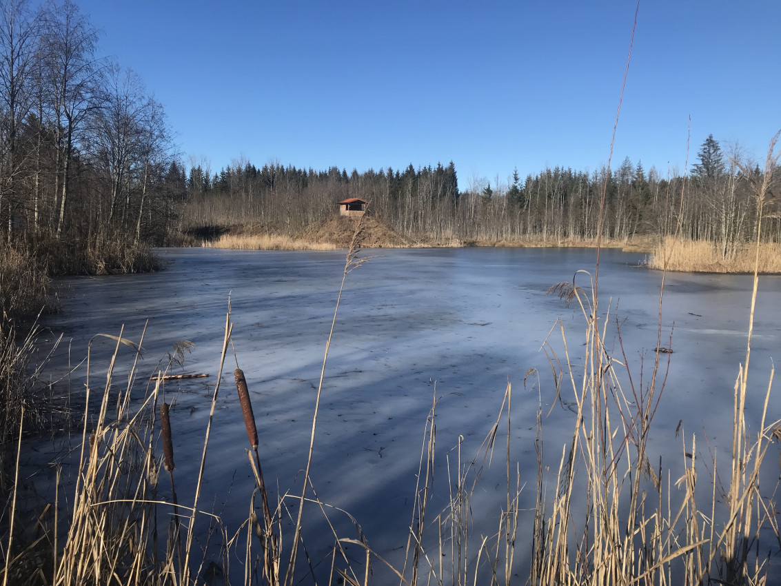 6736723D-05E0-4821-97D8-3761F3D2B808.jpeg