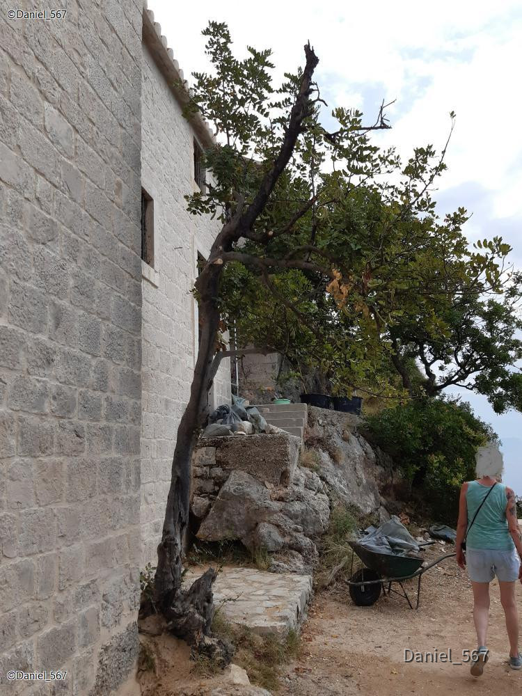 33_Ciovo Crkva Gospe od Prizidnice.jpg