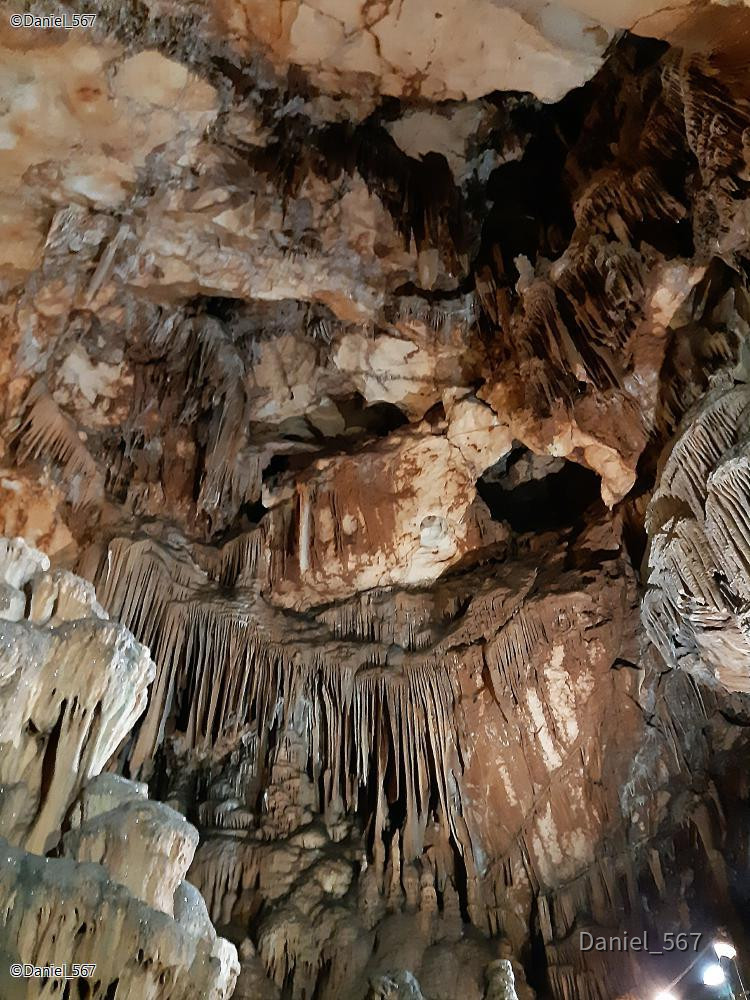 31_Kotlenice Höhle Vranjaca.jpg