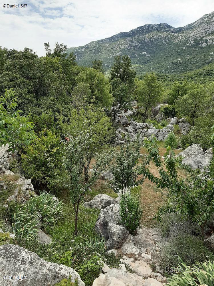 43_Kotlenice Höhle Vranjaca.jpg