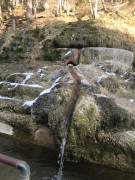 3D2058D0-BEB7-4170-9CFA-BC243DDED387.jpeg