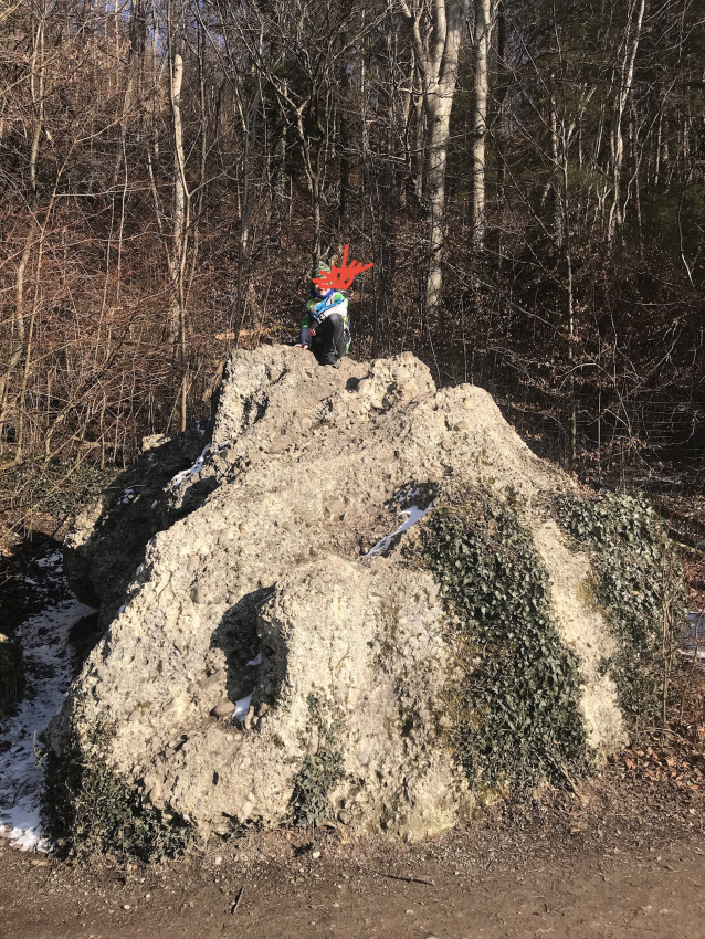 ECE60551-1B19-4A19-8520-926EB8B1A0D9.jpeg