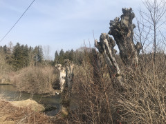 E02C813C-D6D8-4690-AA91-E8AD11F38E02.jpeg