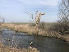 7F780632-F2CA-4E9F-A28C-E2FFBCFCC53E.jpeg