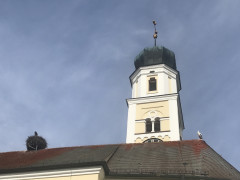 B880D70C-AD91-49A4-91BD-A132262F3561.jpeg