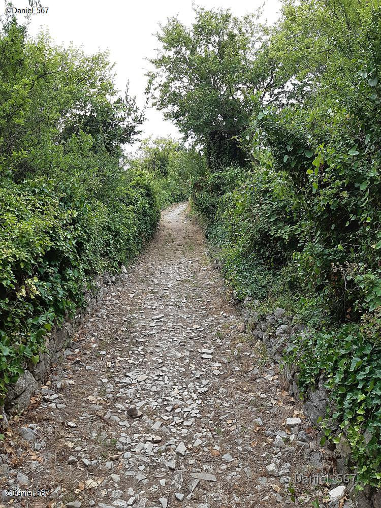 28_Solin Salona.jpg