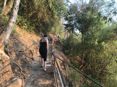 BB6C750A-1237-43FD-802D-10A10418ADD8.jpeg