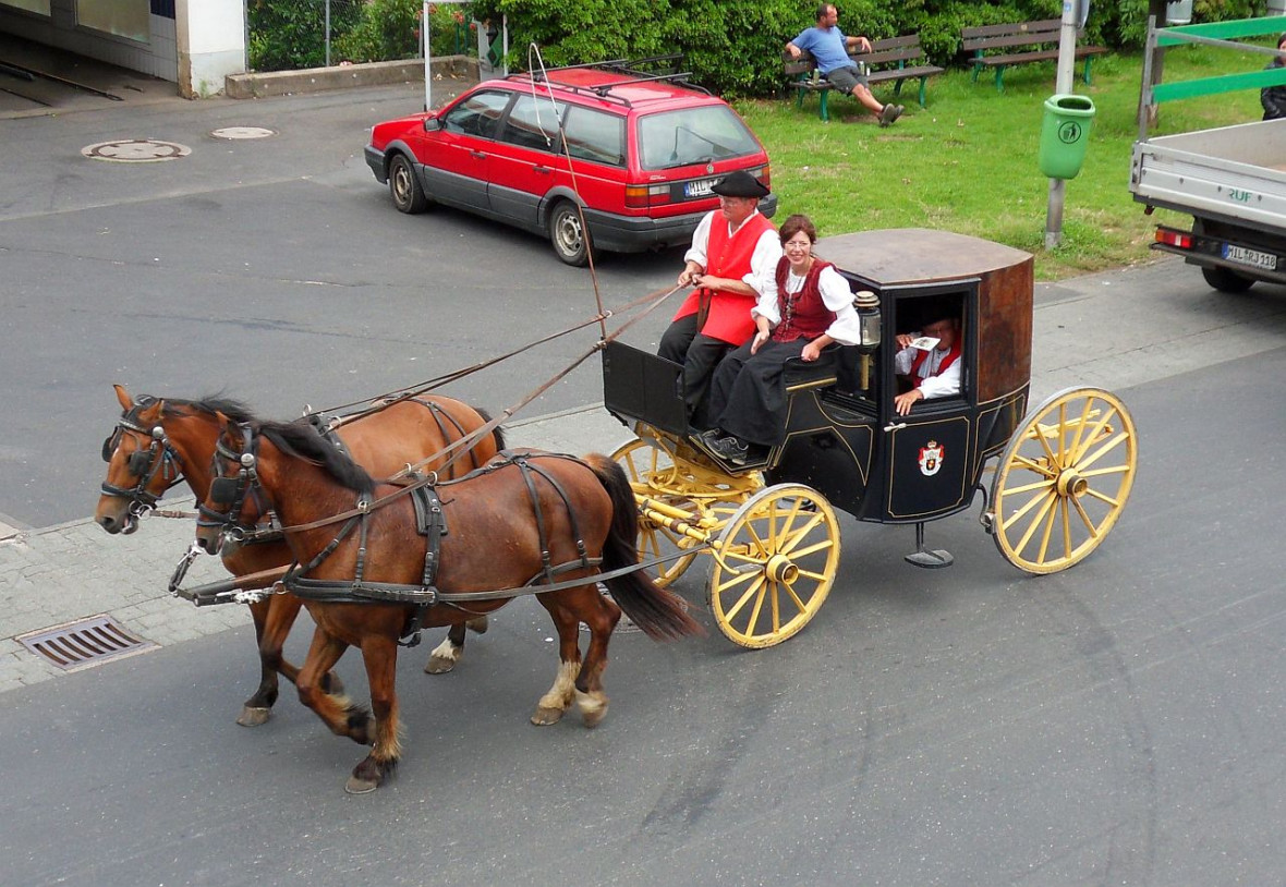 Kaufmannszug 2011-6.jpg