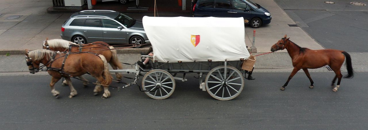 Kaufmannszug 2011-8.jpg