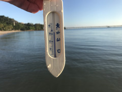 E87C1B7A-980B-4377-BF57-D09C6657F2F4.jpeg