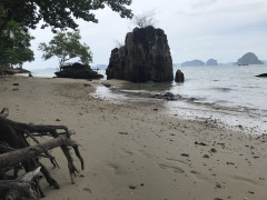 6CE329AA-5528-4A03-92CD-309506D77DDA.jpeg