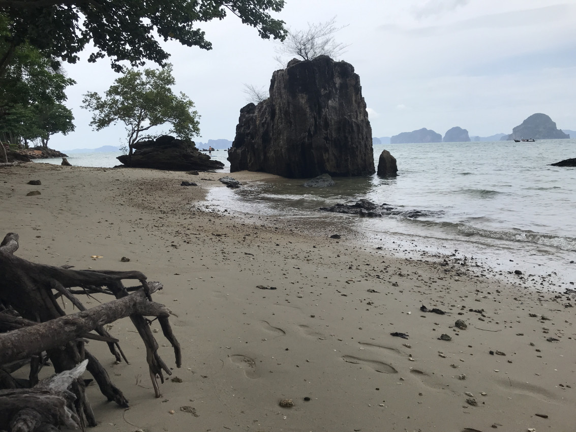 6CE329AA-5528-4A03-92CD-309506D77DDA.jpeg