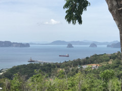 1975154D-0727-44C2-8D2D-B0288216E0B2.jpeg