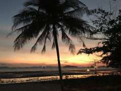 A2B6D7E7-8F48-455B-83E4-62F43E09C050.jpeg