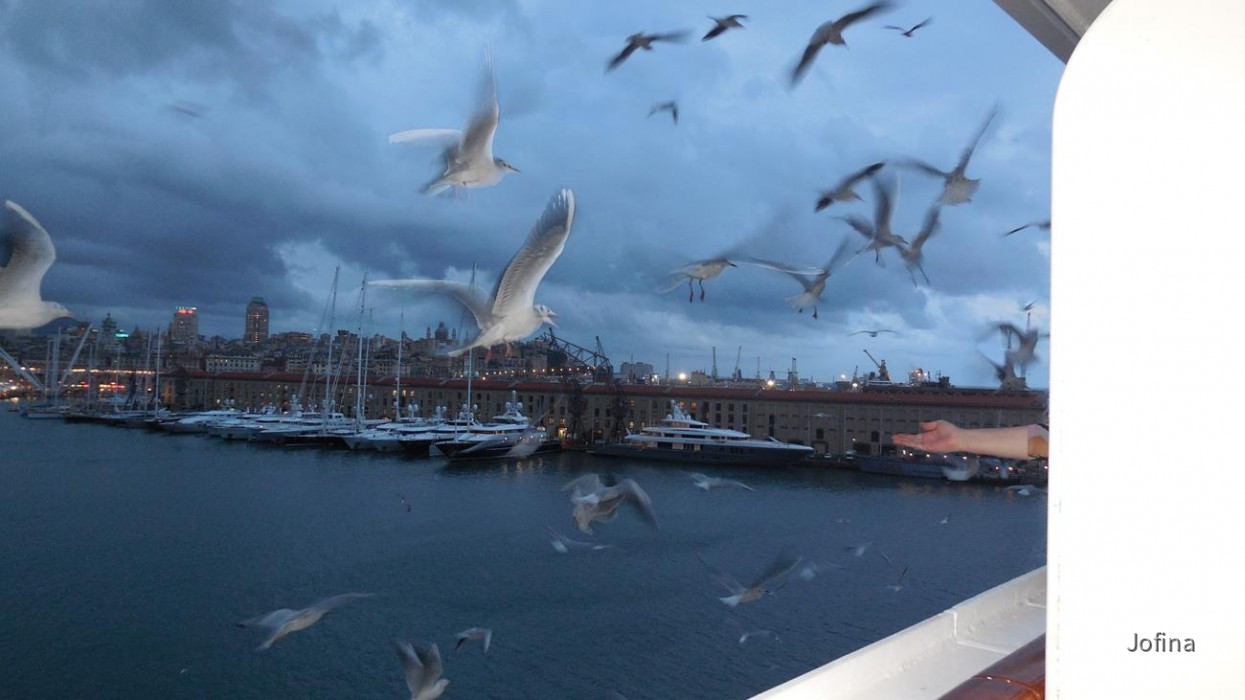 Genua_59