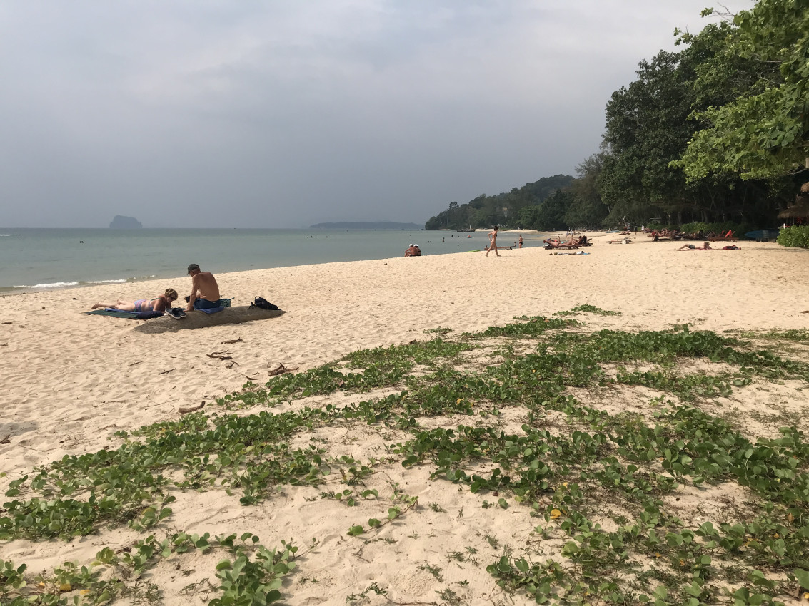 38E2003C-4B71-43D8-B441-3DE602A4ADB1.jpeg