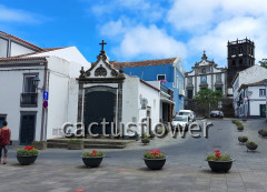 São Miguel - die Grosse zuerst