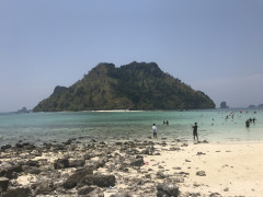 E2F96261-0FD1-41E0-98B8-93428F4F7670.jpeg