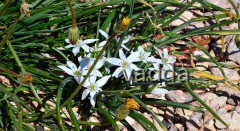 DSC_ 3062 Muškovci, Zrmanja und Krupa
