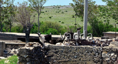 DSC_ 3110 Muškovci, Zrmanja und Krupa