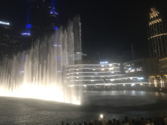 D57197C4-433D-461A-9B5E-6100C89C2597.jpeg