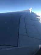 46468D91-4397-423D-B493-9F996F9B2BCE.jpeg
