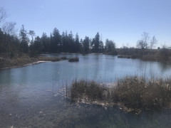 0F3195AA-9785-4F3A-8DDF-DD71B36E1B05.jpeg