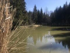 E1145F3A-8BA5-4697-83EA-44751727339F.jpeg