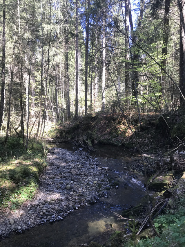 56556316-3846-4D72-9281-4296F01593AF.jpeg