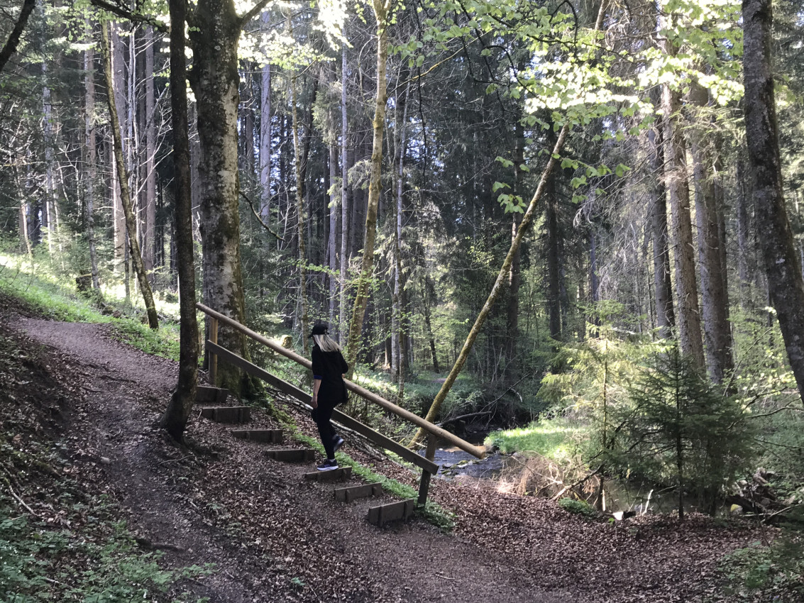 3D447023-C179-41BF-9860-65F2FDC0027A.jpeg