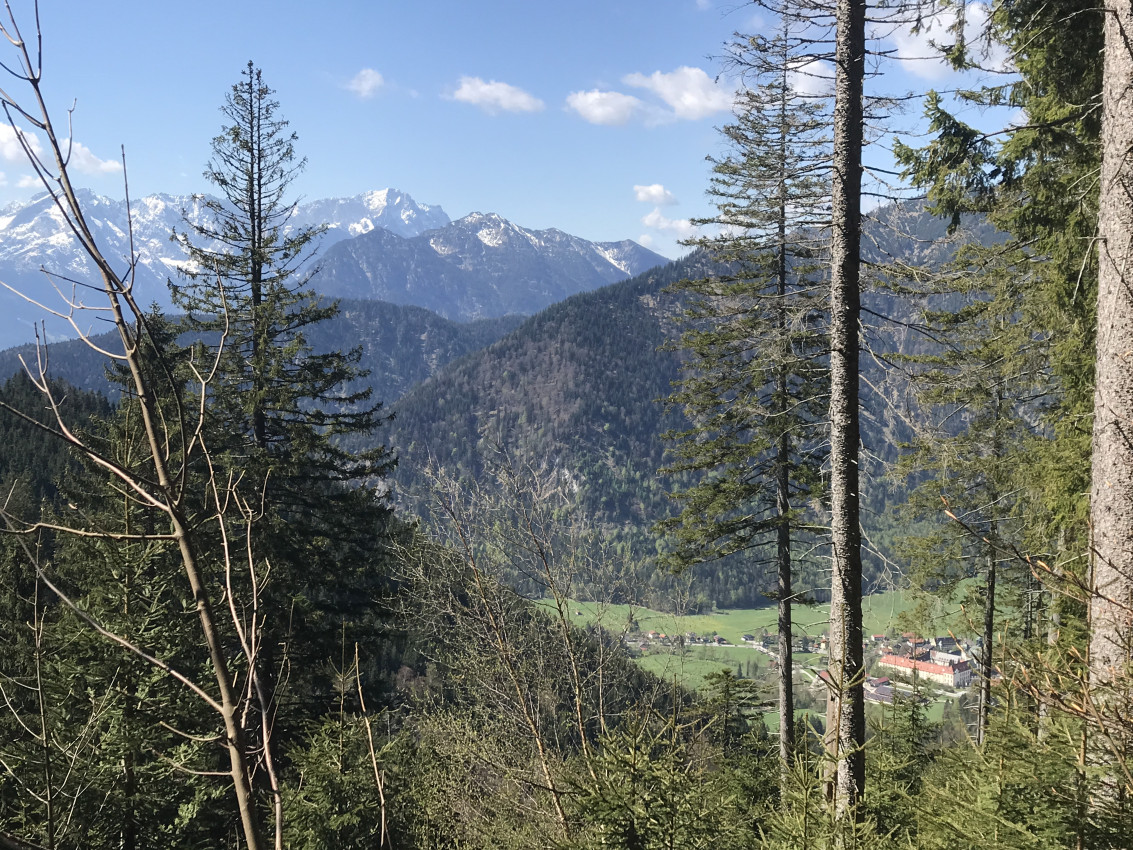 22AB5909-072E-405F-AABF-30F183877876.jpeg