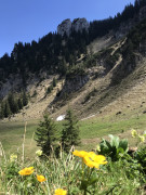 39086D69-911E-4BF5-8823-80828DE2F37C.jpeg