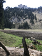 C0363F78-9D95-4228-A911-664BC3B8C673.jpeg