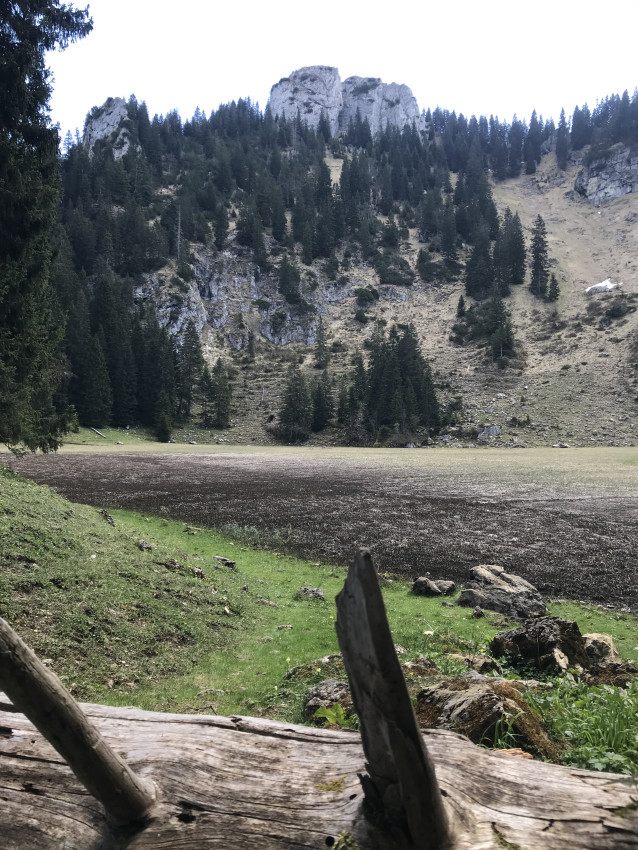 C0363F78-9D95-4228-A911-664BC3B8C673.jpeg
