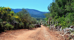 DSC_3221 Hvar