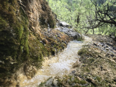 7E628ED4-AC10-4509-8E3E-5677FA05F343.jpeg