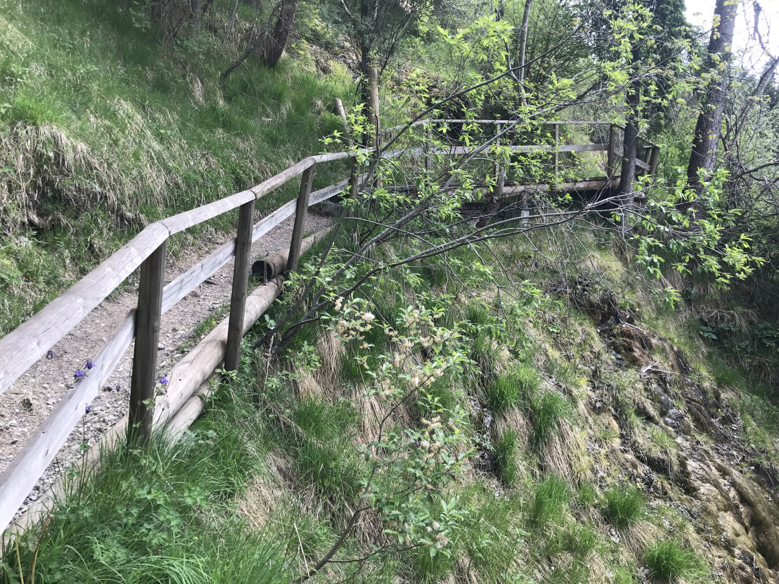 9EF36625-E90D-43EA-97AB-0523D51569C1.jpeg