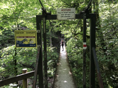 2E857BA3-D1D7-419D-A6B8-6C9FC9D94734.jpeg