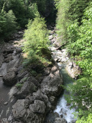 52909ABC-5F69-4194-9D44-6D081F8377F3.jpeg