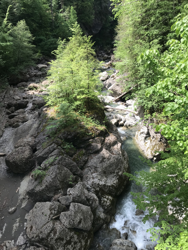 52909ABC-5F69-4194-9D44-6D081F8377F3.jpeg